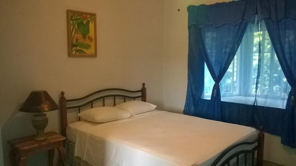 Homestay Fairy Hill Palms Apartment Port Antonio